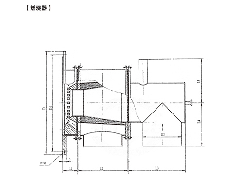 湛江燃烧器