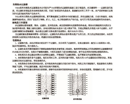 山东自清洗水过滤器